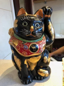 cat_01